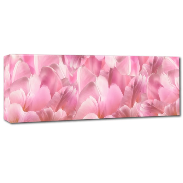 Cora Niele 'Pink Tulip Scape' Canvas Art,10x32